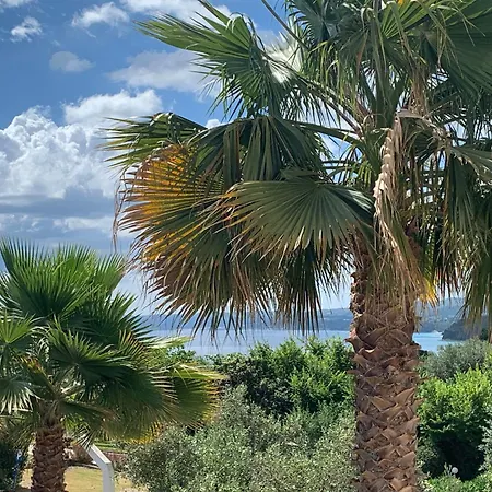 Evita , Penthouse, 53m2 ,athytos , Astonishing Sea View Vakantiehuis Afytos