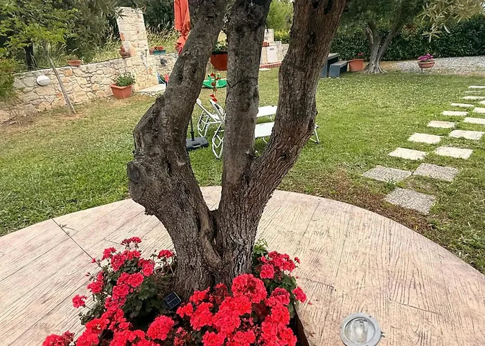 Evita , Penthouse, 53m2 ,athytos , Astonishing Sea View Áfitos