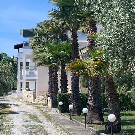 Evita , Penthouse, 53m2 ,athytos 450m From The Áfitos