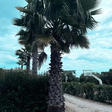 Evita , Penthouse, 53m2 ,athytos , Astonishing Sea View * Άφυτος